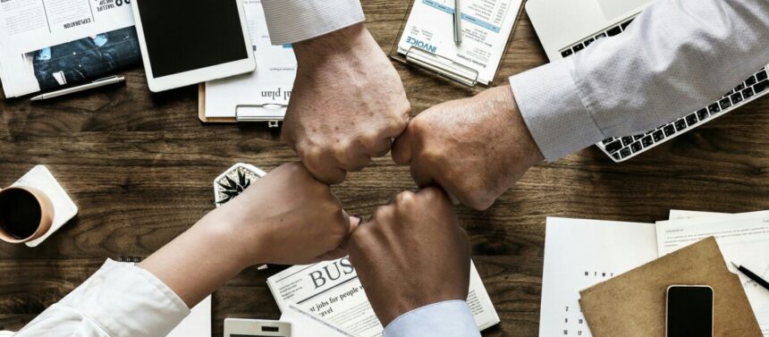 15th Recruitment Round – "Professionals in the Development Services Market"